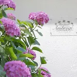 Residenza Ambrogi מלון דירות אורבינו
