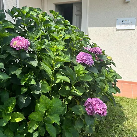 Residenza Ambrogi *