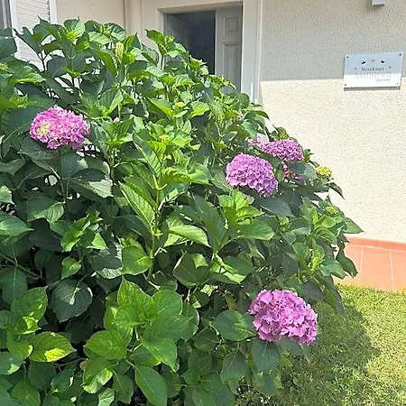 Residenza Ambrogi Aparthotel