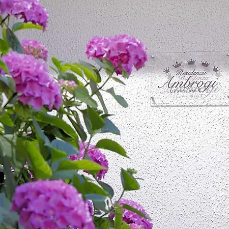 Aparthotel Residenza Ambrogi